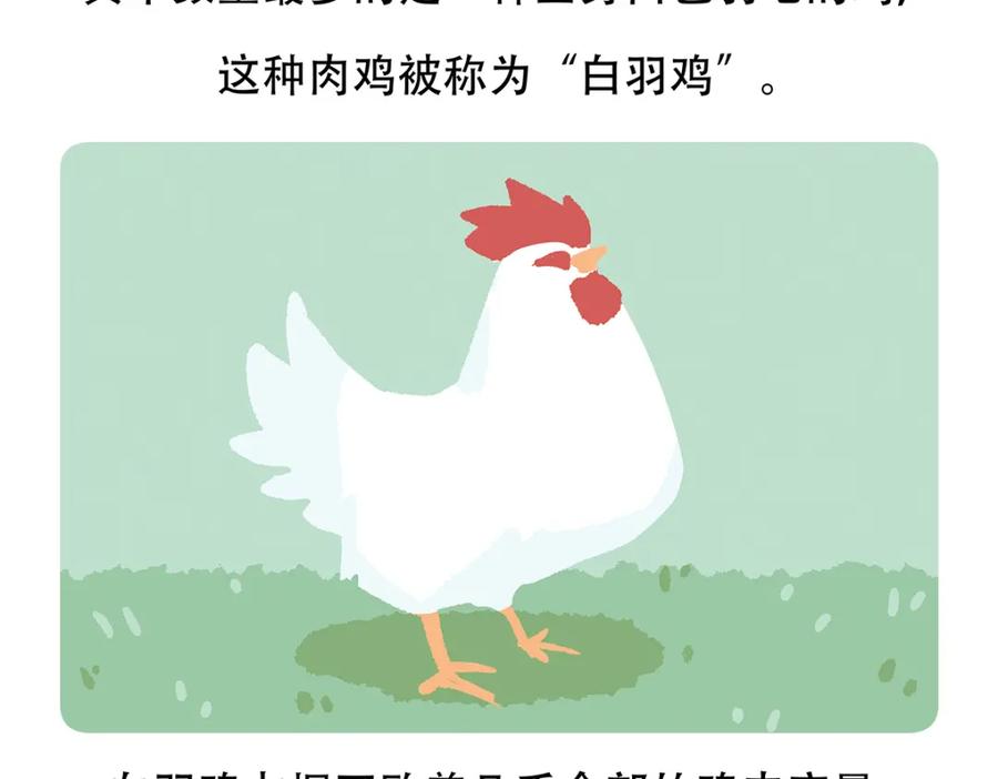 《胖达x胖达》第63话 第22页