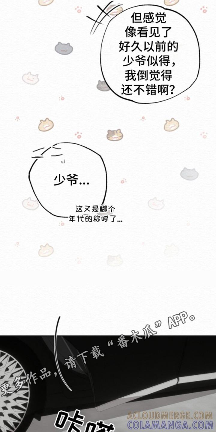 《给记忆添香》第13章：回家 第5页