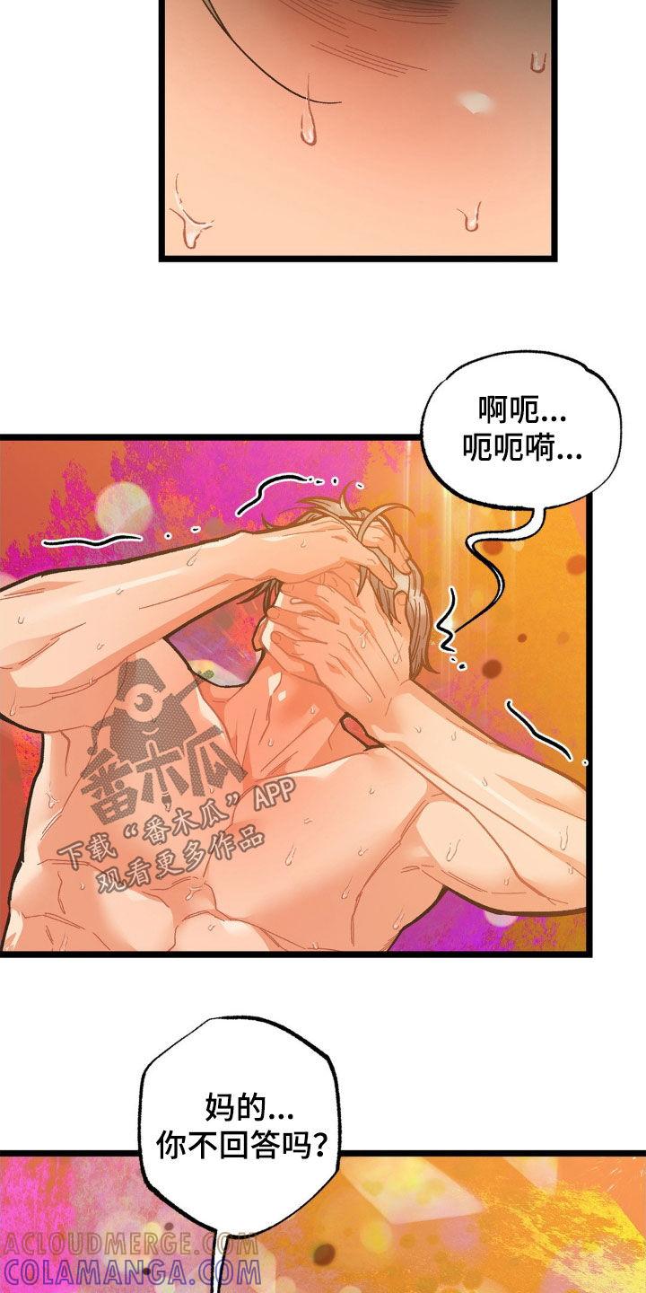 《浴火重生》第40章：回答我 第17页