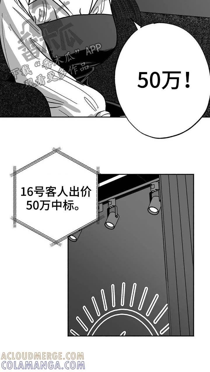 《绯色长夜》第28章：竞拍 第11页