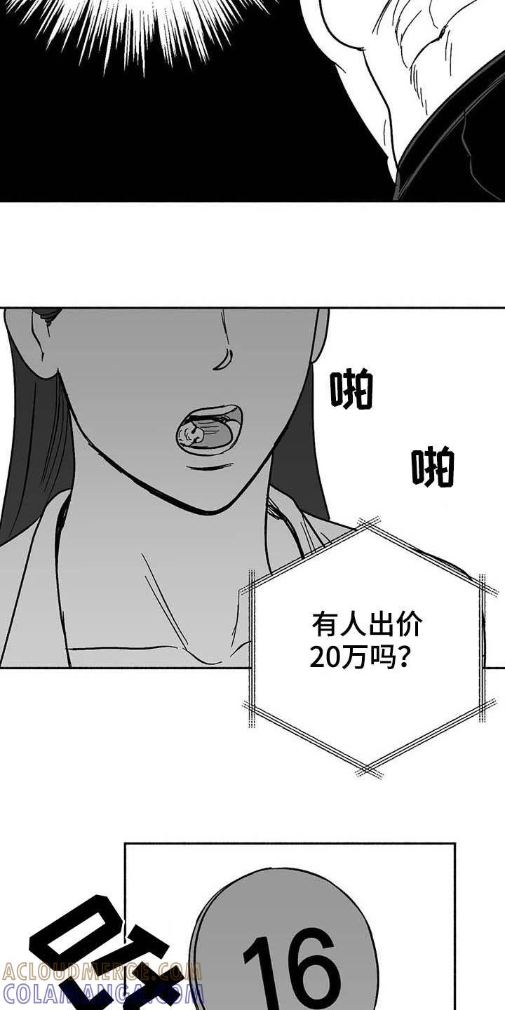 《绯色长夜》第28章：竞拍 第9页
