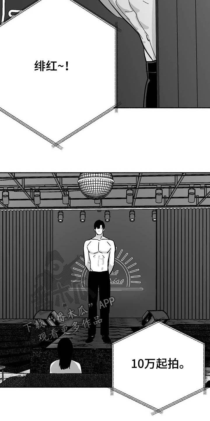 《绯色长夜》第28章：竞拍 第6页