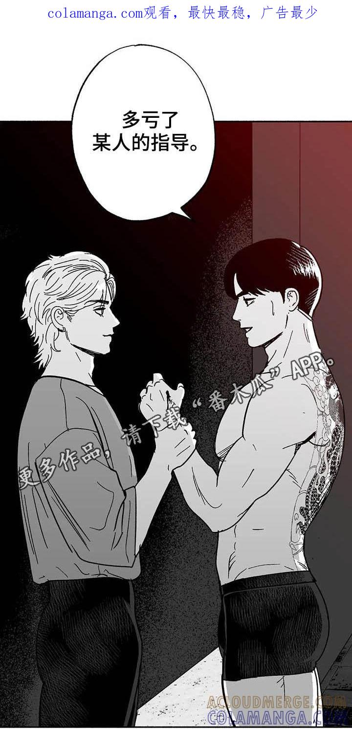 《绯色长夜》第28章：竞拍 第1页