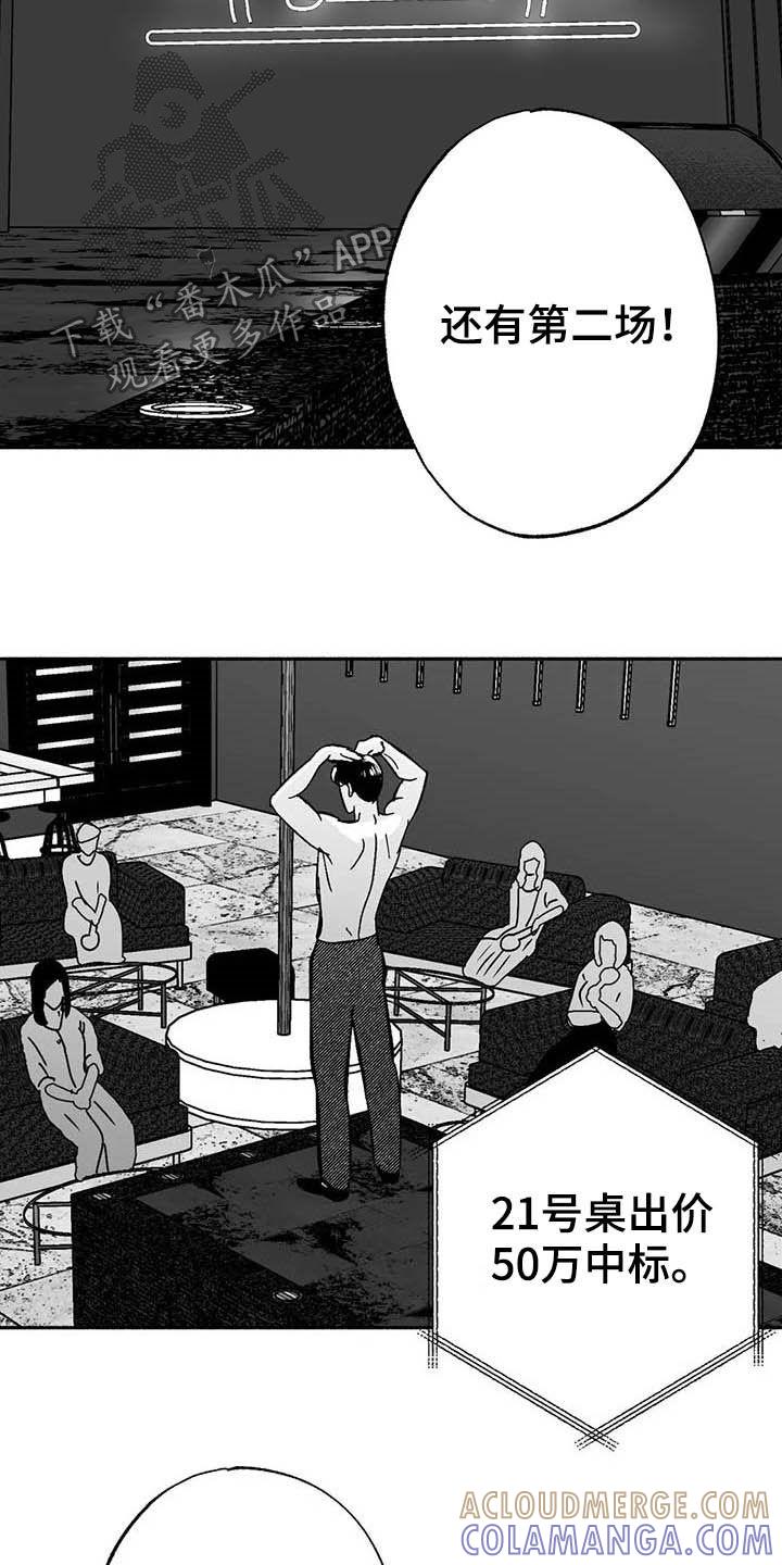 《绯色长夜》第28章：竞拍 第3页
