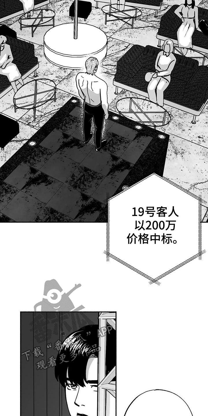 《绯色长夜》第33章：新客人 第14页