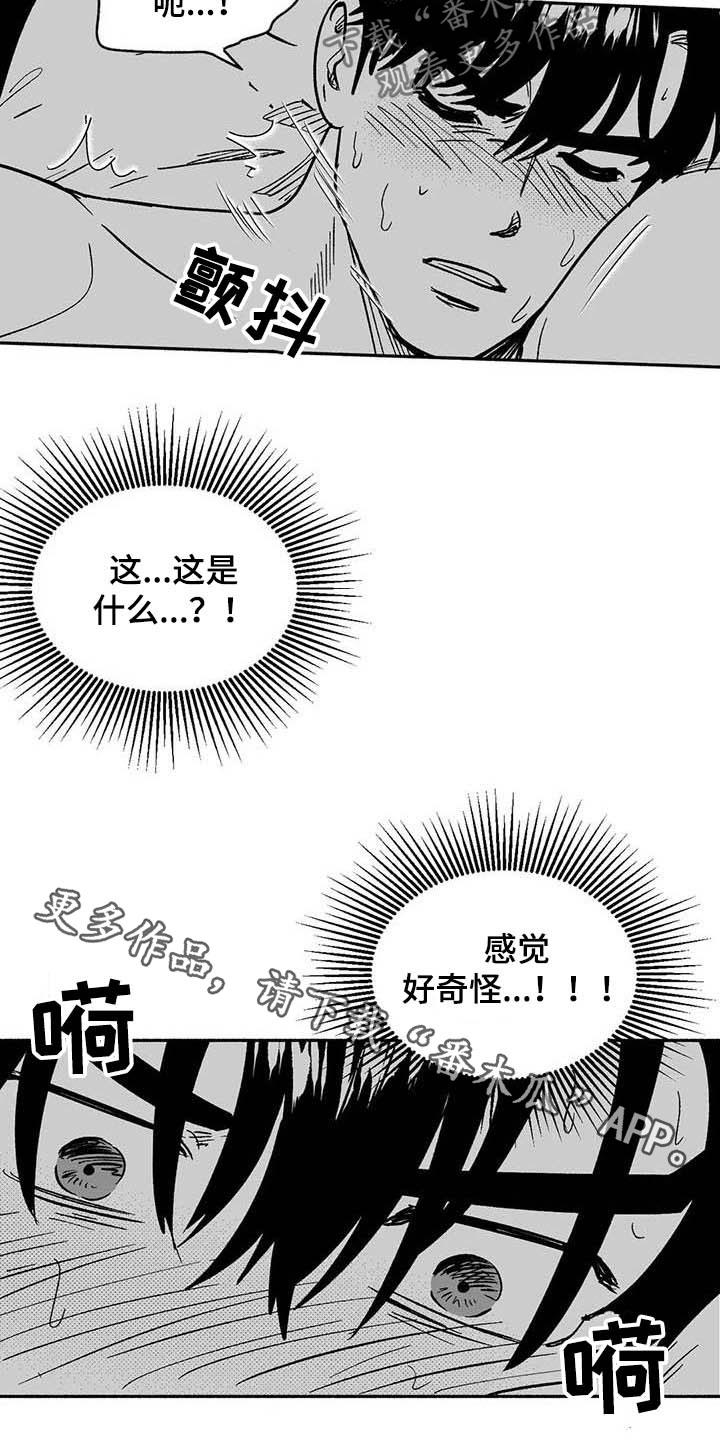 《绯色长夜》第35章：标本 第20页