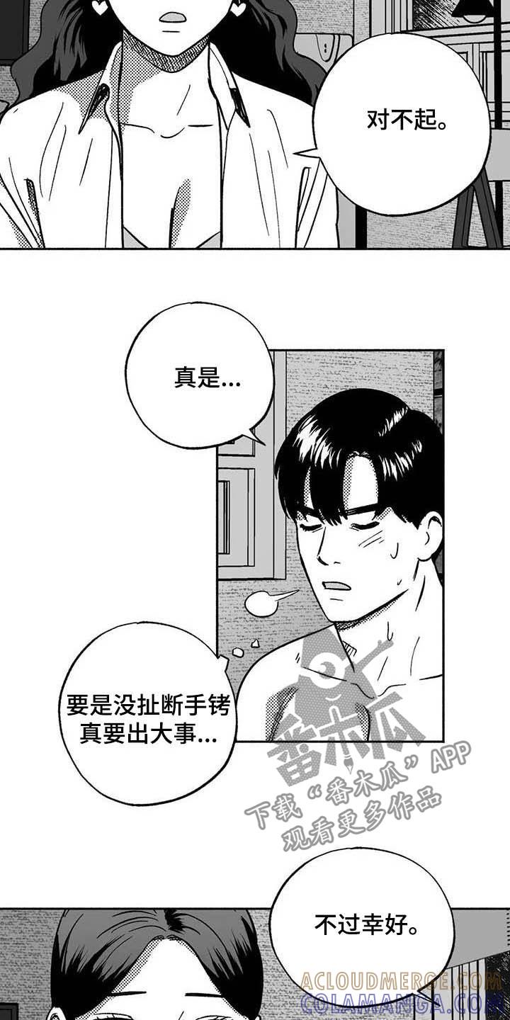 《绯色长夜》第36章：有点懂了 第17页