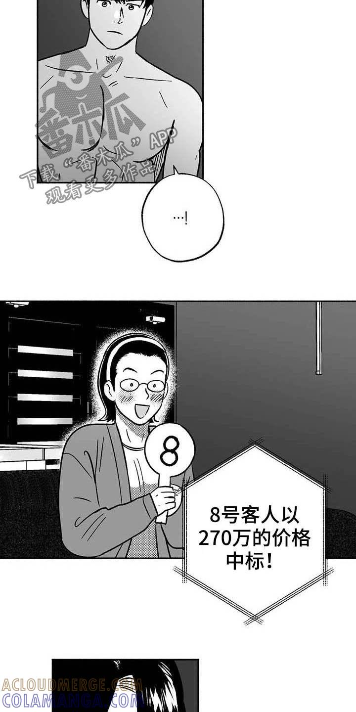 《绯色长夜》第38章：陪衬 第11页