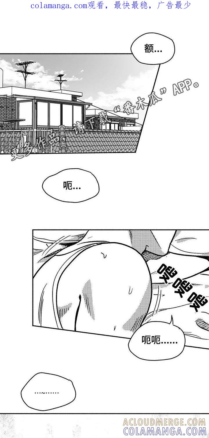 《绯色长夜》第43章：没想长久下去 第1页