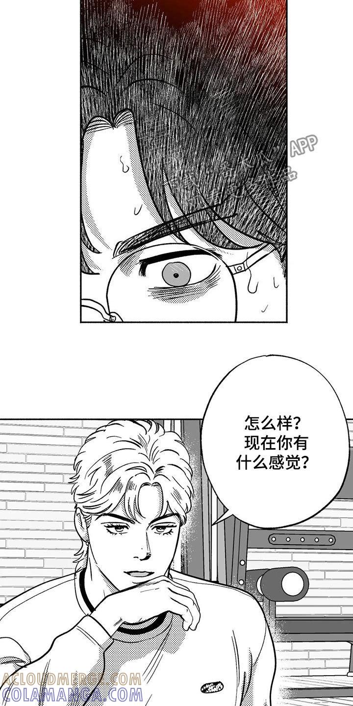 《绯色长夜》第45章：成全 第5页