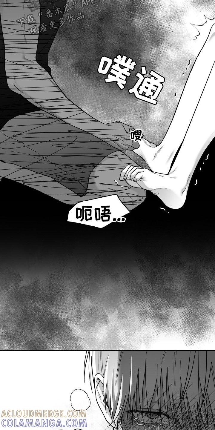 《狂乱欺压》第50章：仅仅两天 第17页