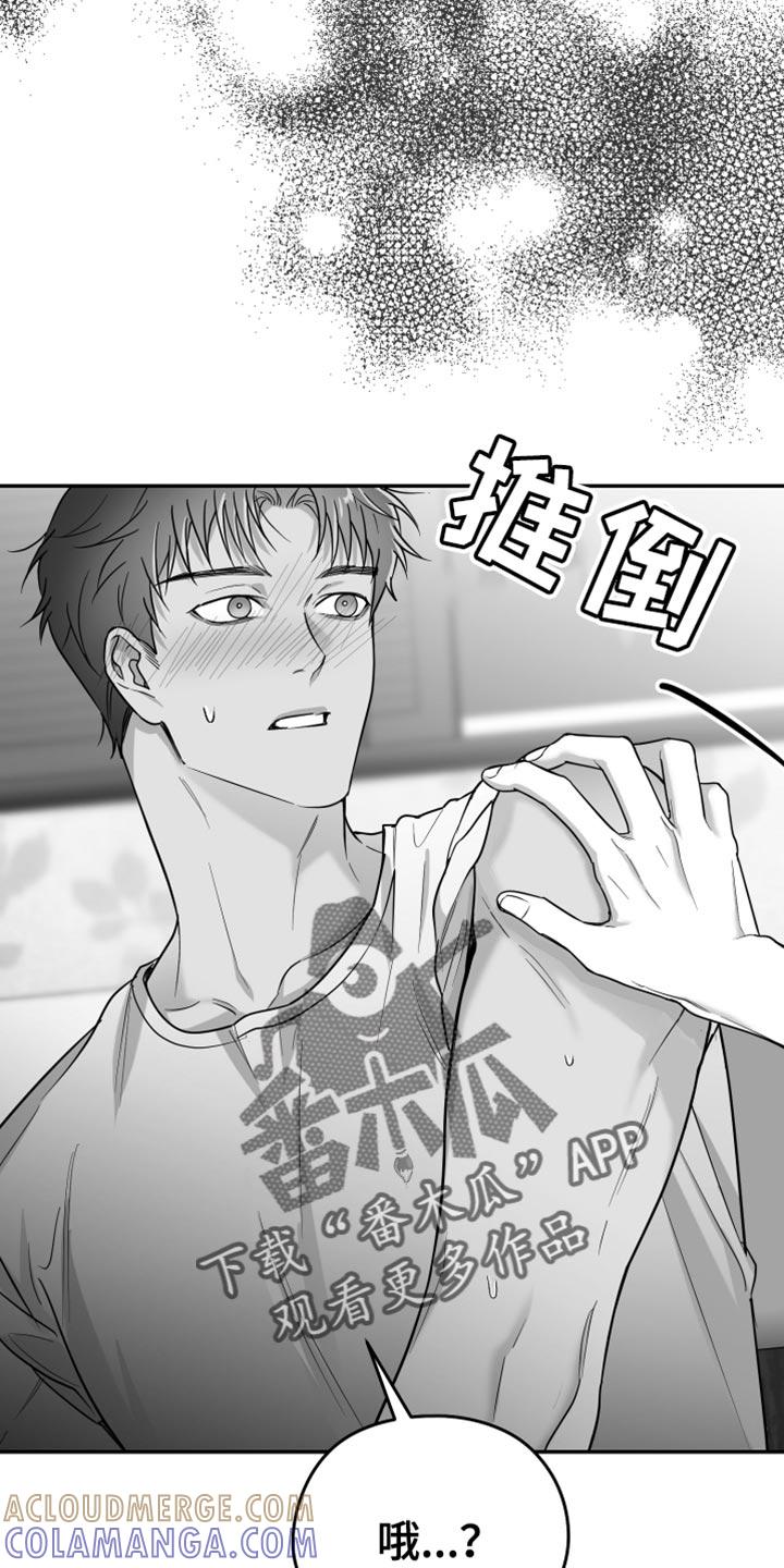 《狂乱欺压》第55章：谁允许你这样做的 第17页