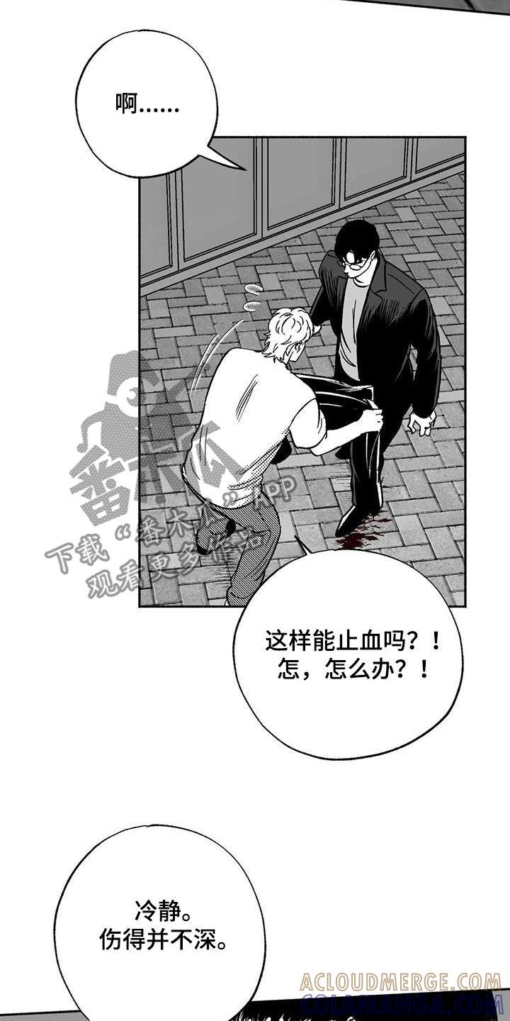 《绯色长夜》第55章：人格魅力 第17页