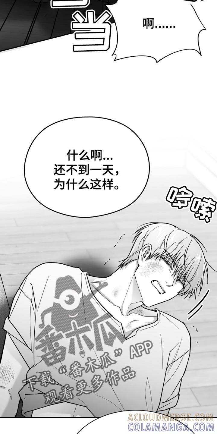 《狂乱欺压》第64章：【第二季】玩具 第19页