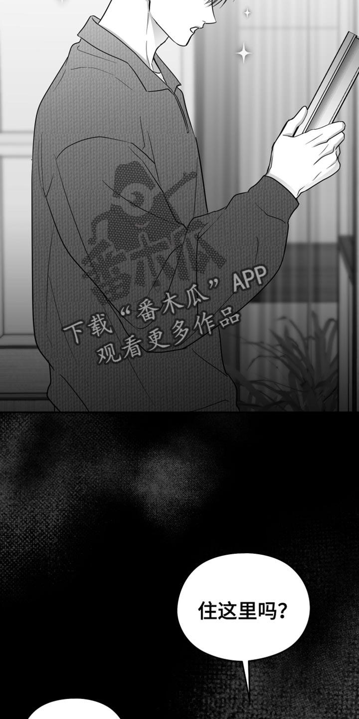 《狂乱欺压》第68章：【第二季】不能继续了 第14页