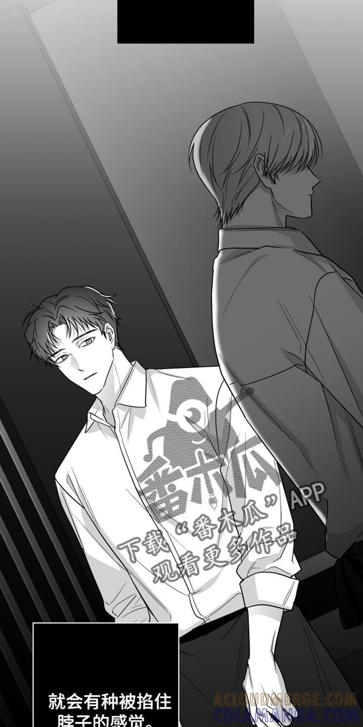 《狂乱欺压》第75章：【第三季】什么朋友 第5页