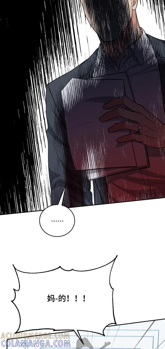 《虎的孩子》第79章：【第二季】资料 第27页