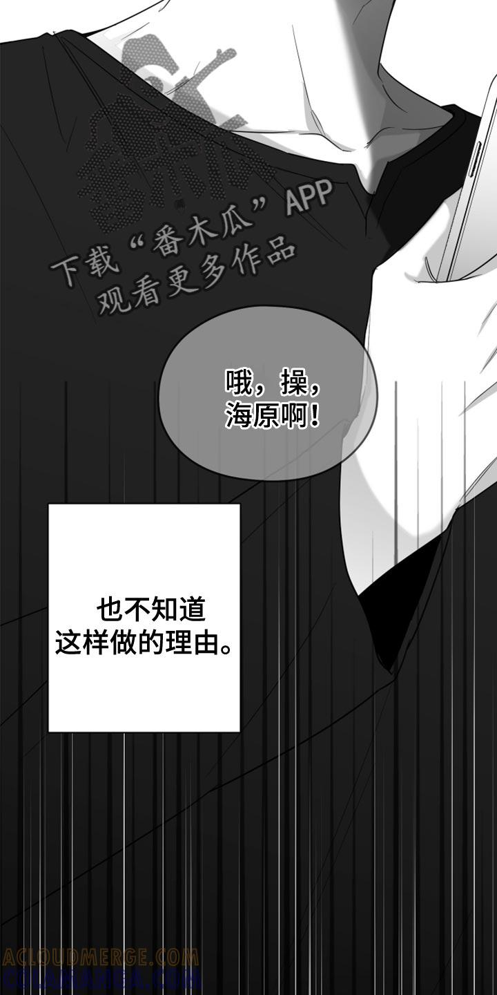 《狂乱欺压》第79章：【第三季】我来了 第17页