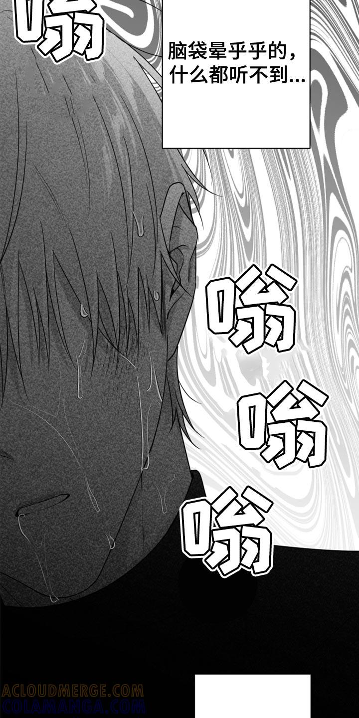 《狂乱欺压》第79章：【第三季】我来了 第3页
