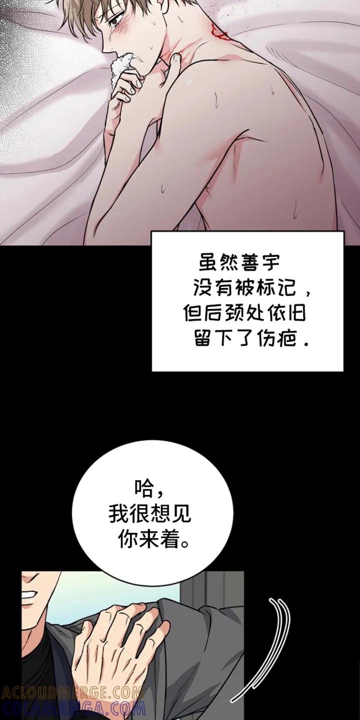 《虎的孩子》第84章：【第二季】标记 第9页