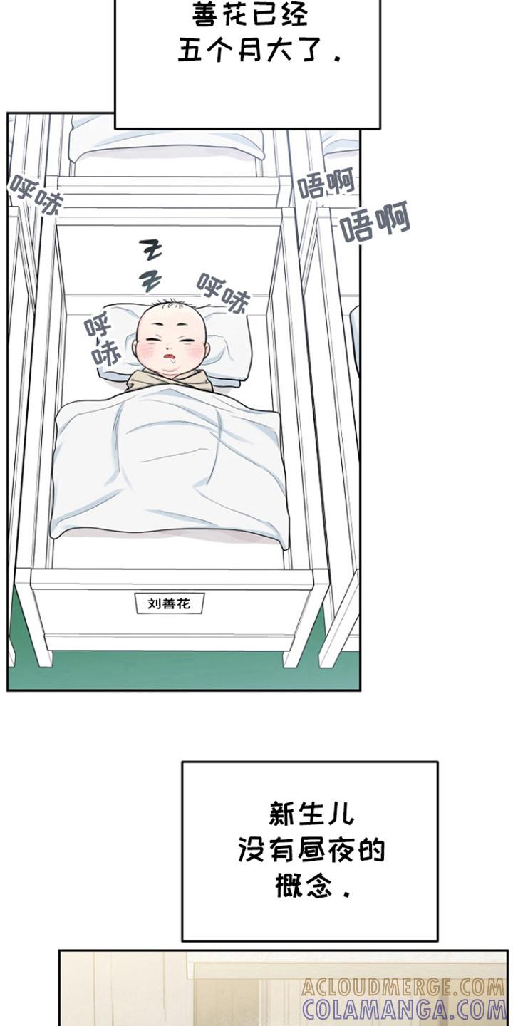 《虎的孩子》第92章：【第三季】金盆洗手 第13页