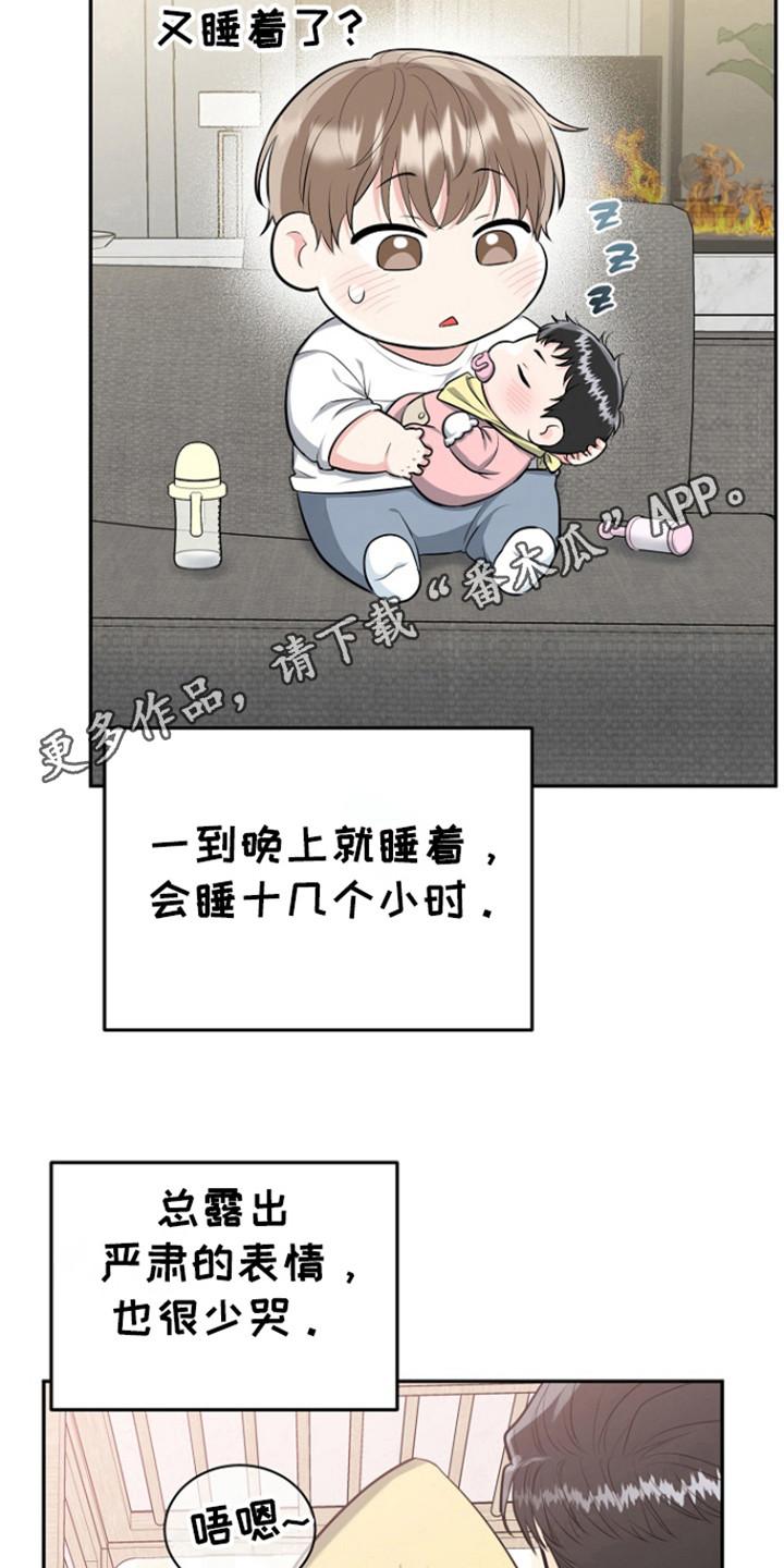 《虎的孩子》第92章：【第三季】金盆洗手 第14页