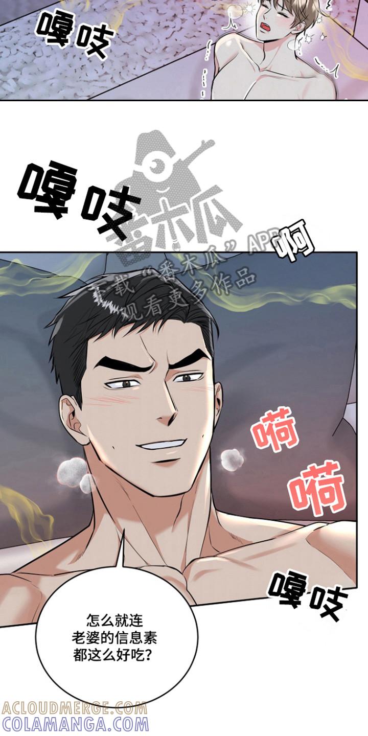 《虎的孩子》第92章：【第三季】金盆洗手 第3页