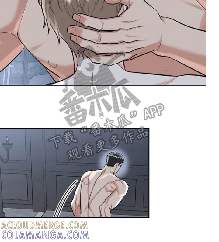《虎的孩子》第92章：【第三季】金盆洗手 第11页