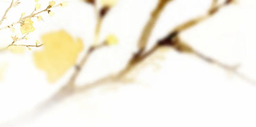 《谁养歪了我的反派男主》第17话 大婚 第102页