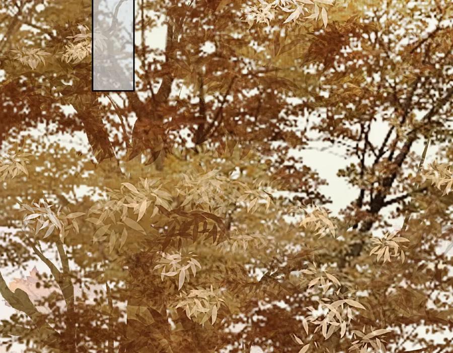 《谁养歪了我的反派男主》第31话 误会吃醋 第38页