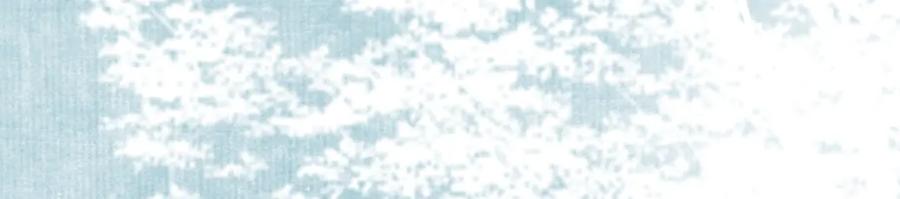 《谁养歪了我的反派男主》第33话 新徒弟？！ 第58页
