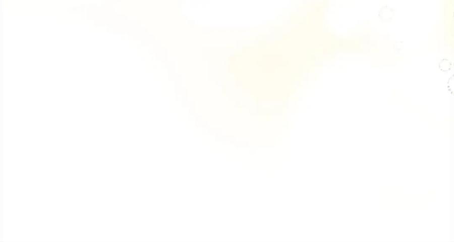 136.jpg