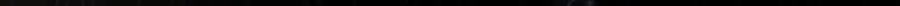 239.jpg