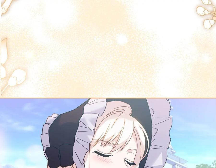 247.jpg