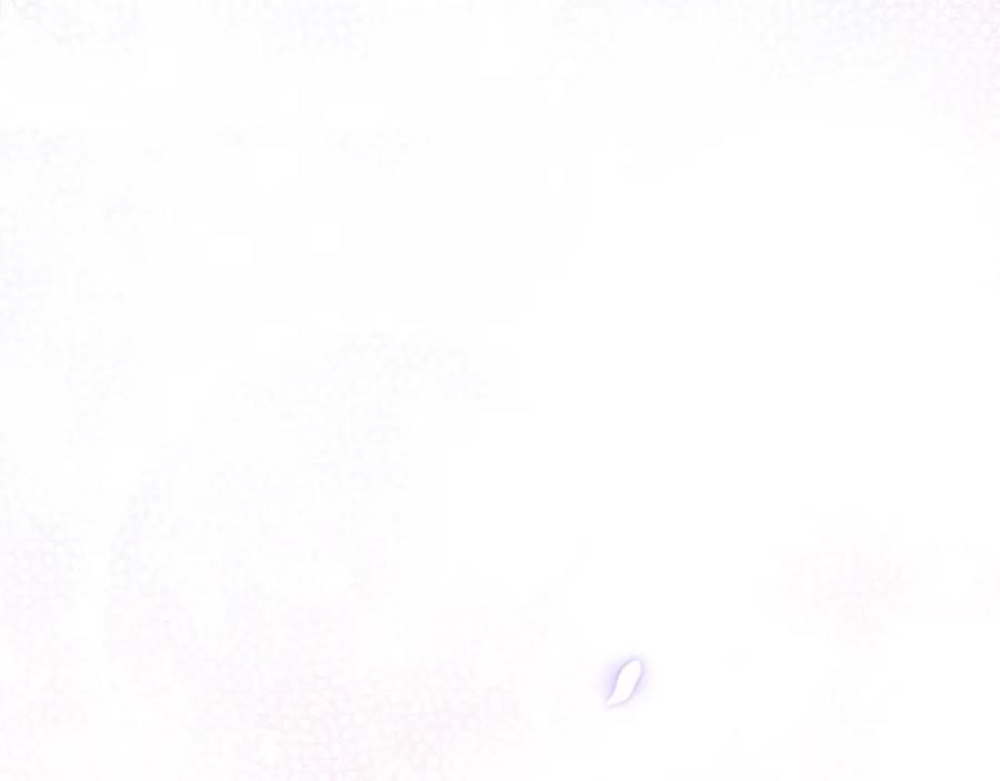147.jpg
