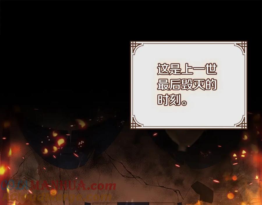 113.jpg