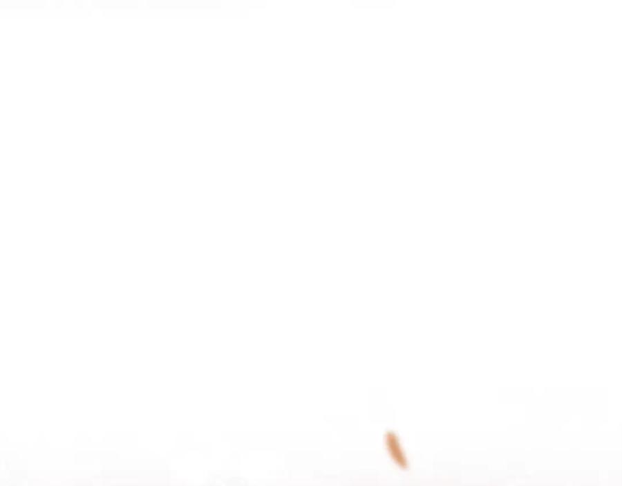 154.jpg