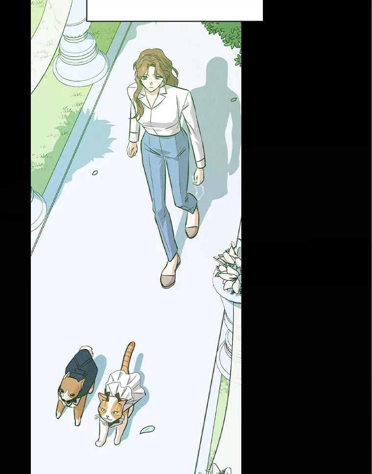 《狗血剧之王》102.两人的渊源 第3页
