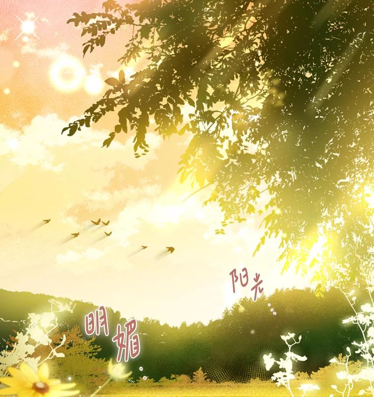 《说好的女扮男装呢？》13.前往皇都 第40页