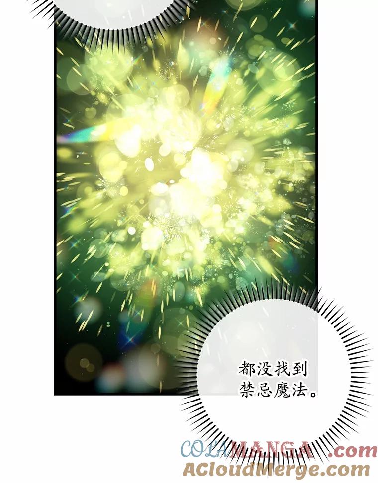 《小圣女想要毁灭世界》27.家族希望 第65页