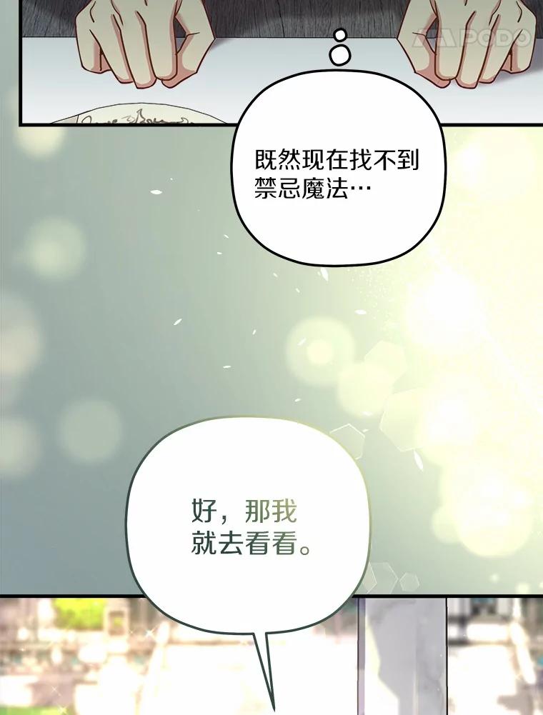 《小圣女想要毁灭世界》27.家族希望 第67页