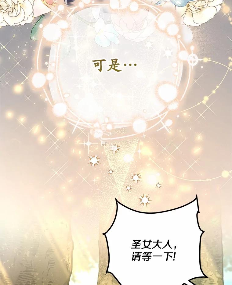 《小圣女想要毁灭世界》29.吃醋 第66页