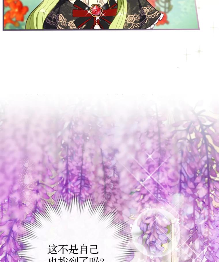《说好的女扮男装呢？》6.这个公女有点怪 第74页