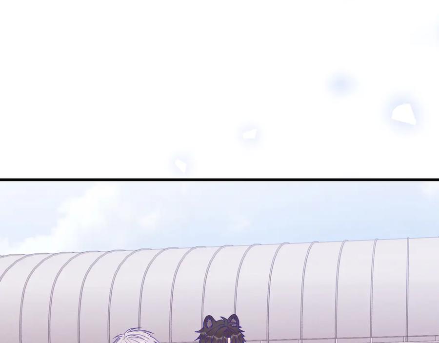 79.jpg