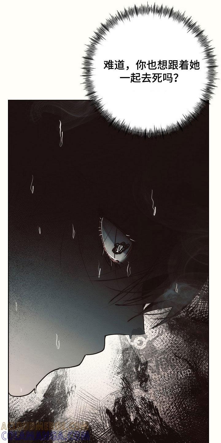 《血色公寓》第43章：影子 第7页