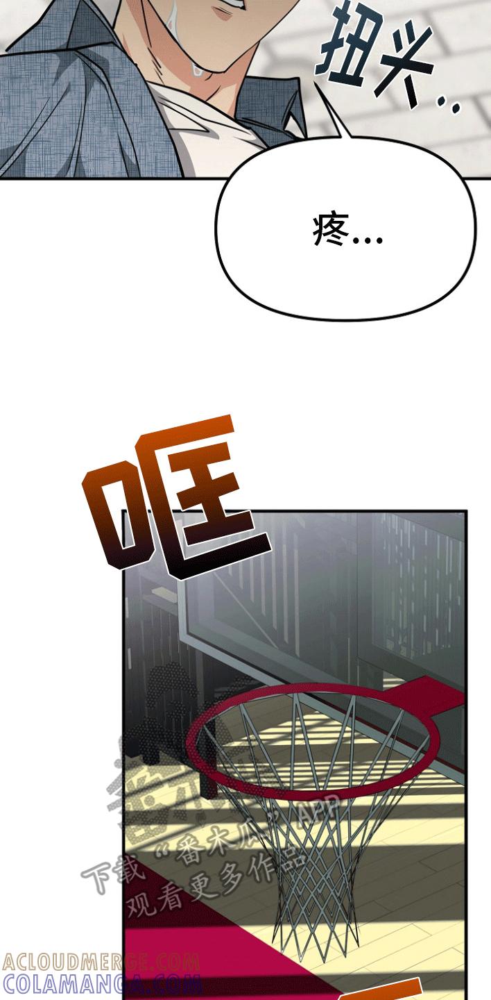 《熟悉的犯人》第5章：真相 第13页