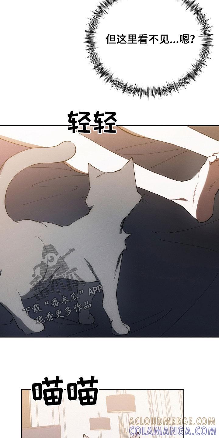 《血色公寓》第50章：惩罚 第35页