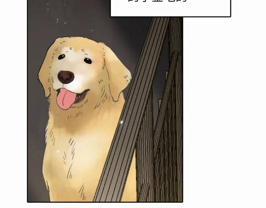 《赎罪之犬》第十话 一碰就碎的“太阳” 第19页