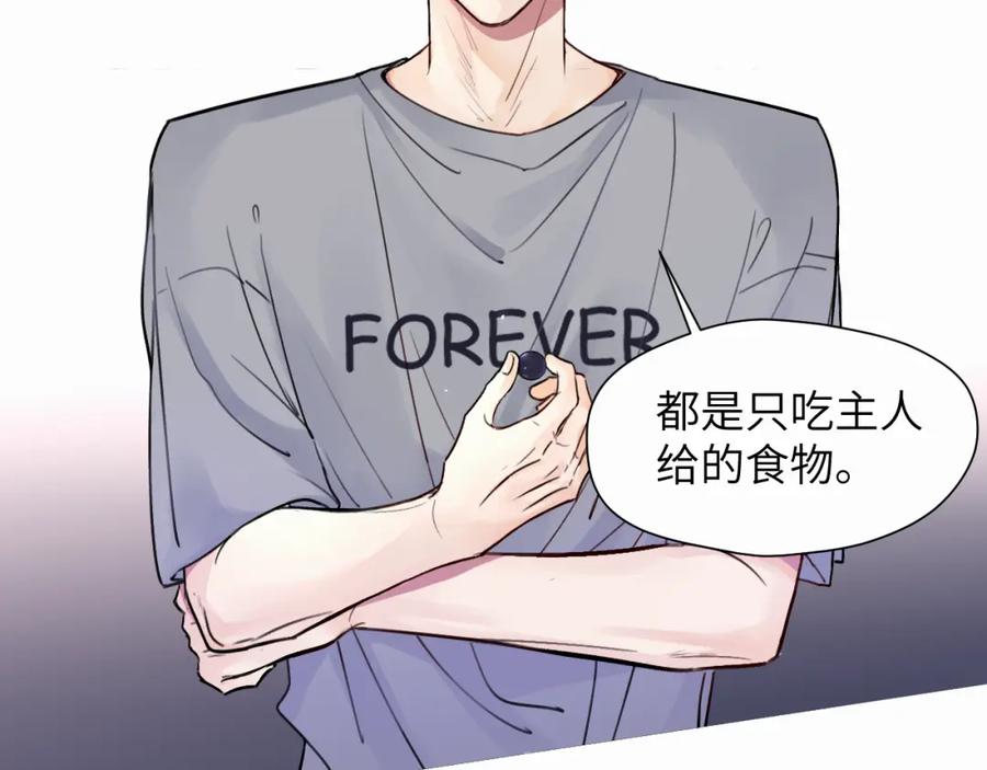 《赎罪之犬》第十五话 只能我来喂 第42页