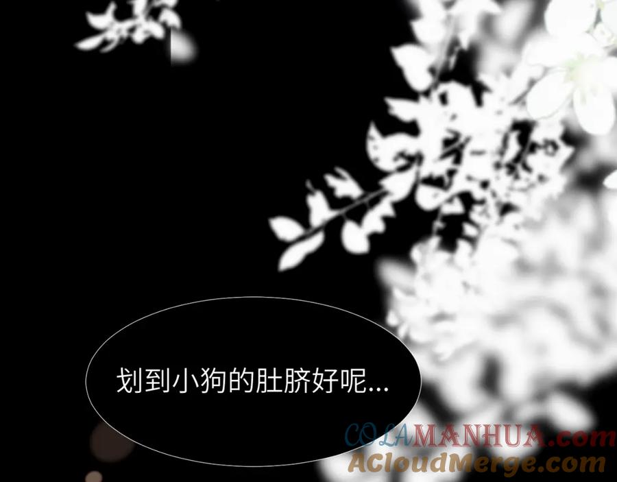 《赎罪之犬》第二十六话 “健康”小狗 第52页